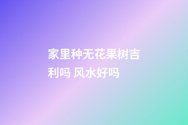 家里种无花果树吉利吗 风水好吗